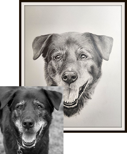 Custom Dog Drawing