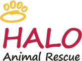 Halo Animal Rescue logo