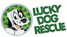 Lucky Dog Rescue logo